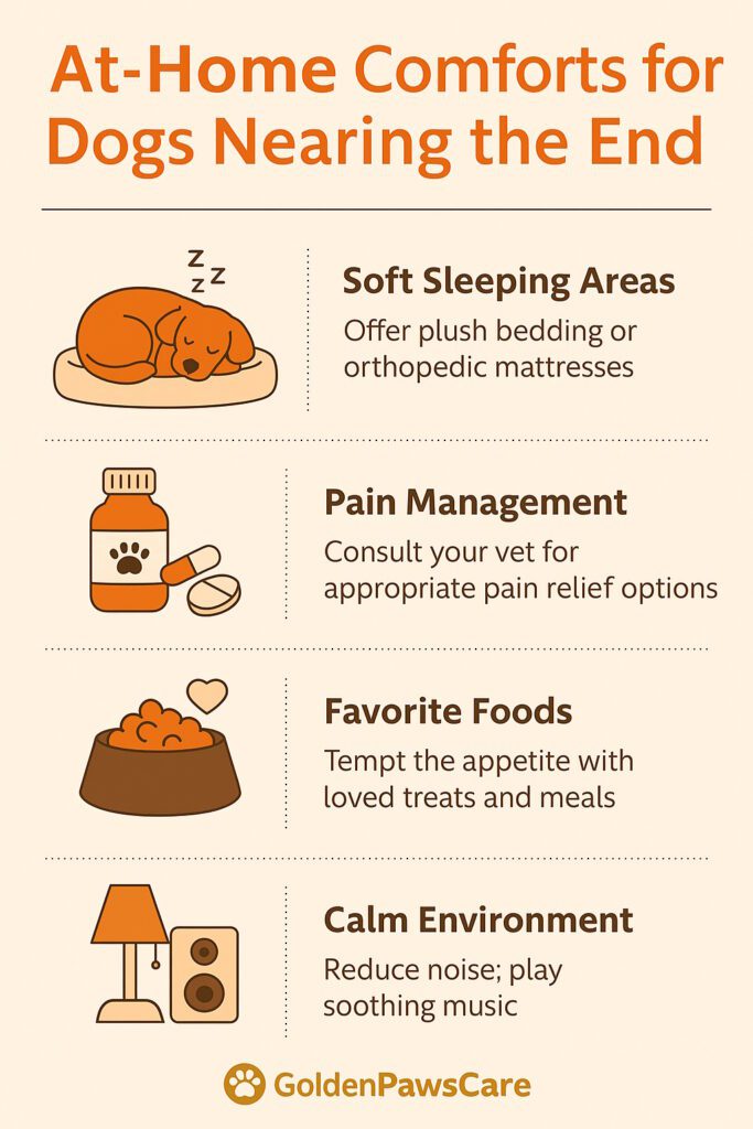 7 Gentle At-Home Comforts for Dogs