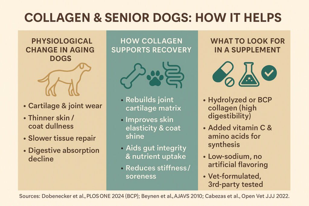 Collagen for Senior Dogs