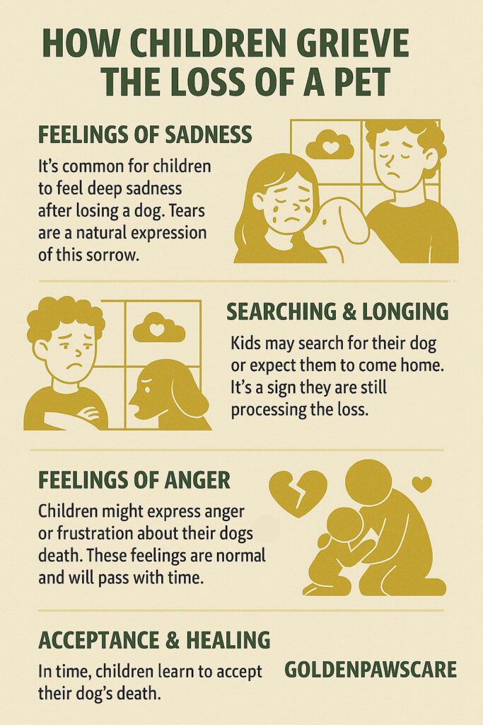 Beyond the Rainbow Bridge