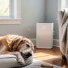 Best Air Purifiers for Senior Dogs