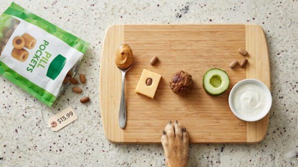 Hacks to Hide Dog Meds