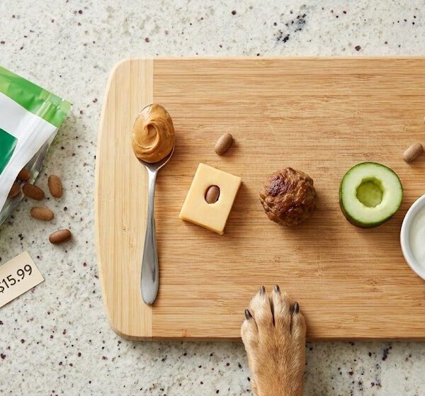 Hacks to Hide Dog Meds