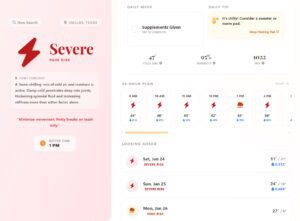 Canine Arthritis Forecast